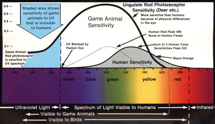 how_game_animals_see_2